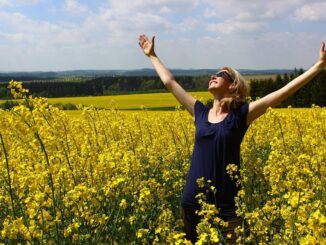 Gratitude and the Law of Attraction