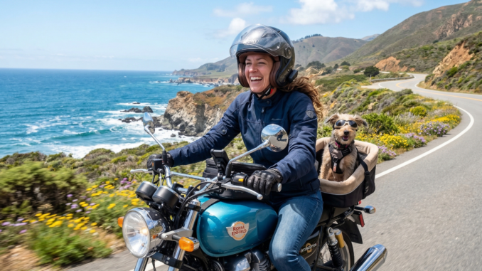 How to FInd More Joy in Life